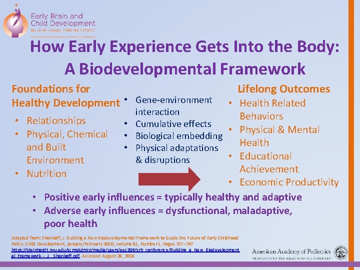How Early Experience Gets Into the Body: A Biodevelopmental Framework Foundations for Healthy Development