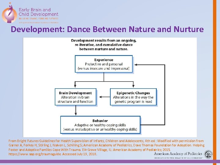 Development: Dance Between Nature and Nurture From Bright Futures Guidelines for Health Supervision of