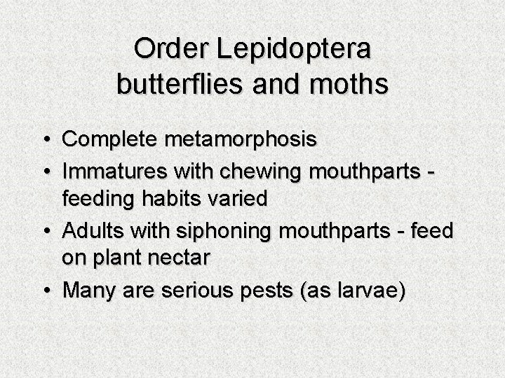 Order Lepidoptera butterflies and moths • Complete metamorphosis • Immatures with chewing mouthparts feeding