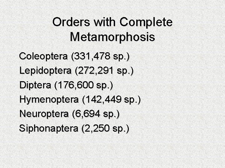 Orders with Complete Metamorphosis Coleoptera (331, 478 sp. ) Lepidoptera (272, 291 sp. )