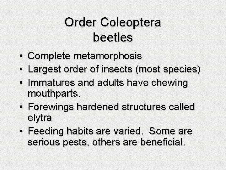 Order Coleoptera beetles • • • Complete metamorphosis Largest order of insects (most species)