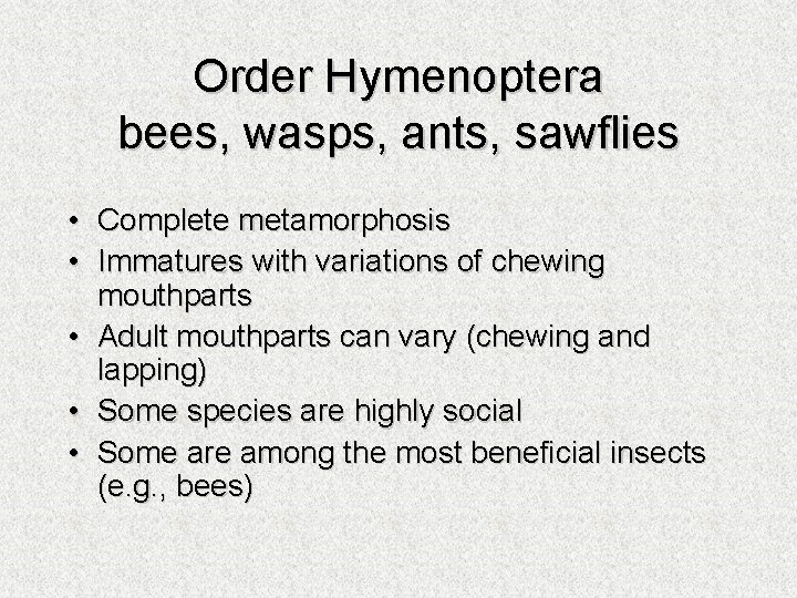 Order Hymenoptera bees, wasps, ants, sawflies • Complete metamorphosis • Immatures with variations of