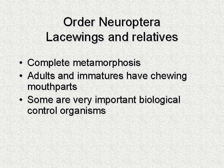 Order Neuroptera Lacewings and relatives • Complete metamorphosis • Adults and immatures have chewing