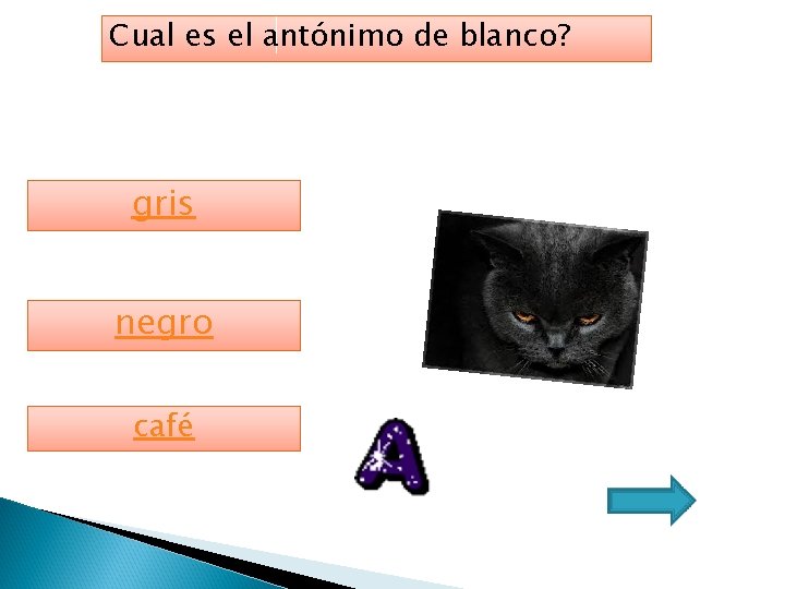 Cual es el antónimo de blanco? gris negro café 