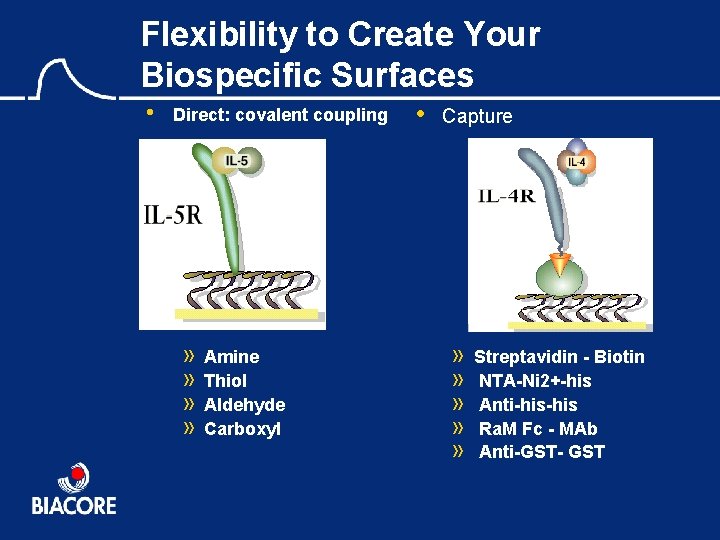 Flexibility to Create Your Biospecific Surfaces • Direct: covalent coupling » » Amine Thiol