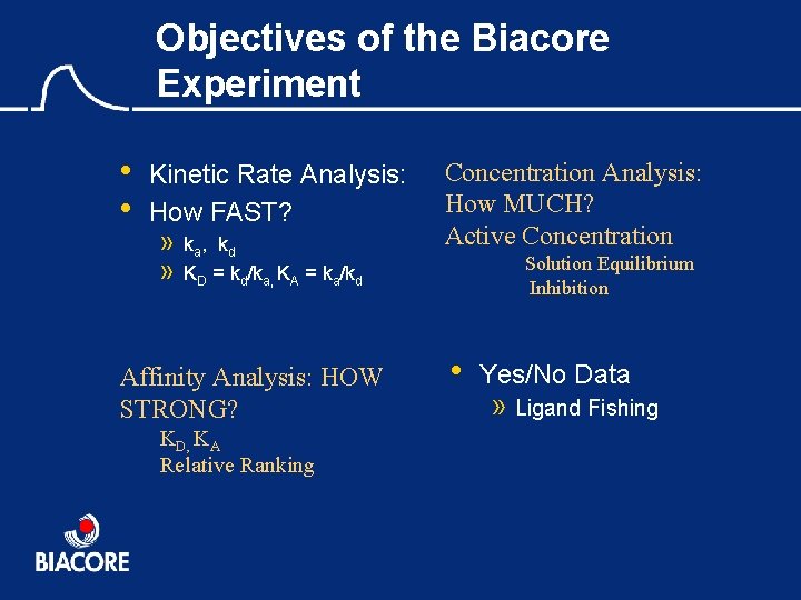 Objectives of the Biacore Experiment • • Kinetic Rate Analysis: How FAST? » »