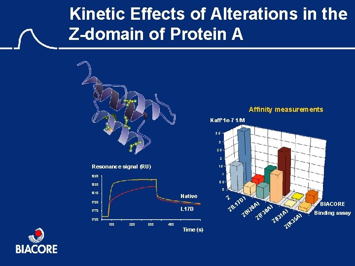 Kinetic Effects of Alterations in the Z-domain of Protein A Affinity measurements Kaff*1 e-7