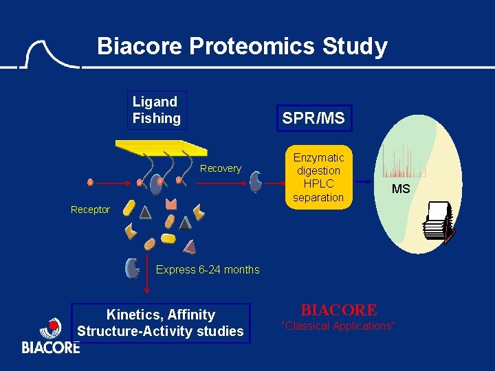 Biacore Proteomics Study Ligand Fishing SPR/MS Recovery Enzymatic digestion HPLC separation MS Receptor Express