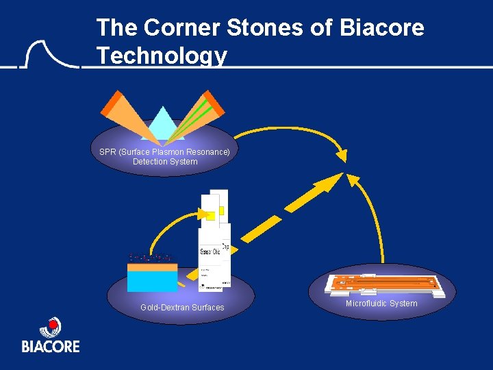 The Corner Stones of Biacore Technology SPR (Surface Plasmon Resonance) Detection System Gold-Dextran Surfaces