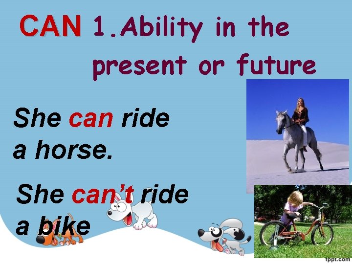 CAN 1. Ability in the present or future She can ride a horse. She