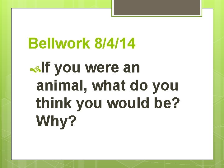 Bellwork 8/4/14 If you were an animal, what do you think you would be?