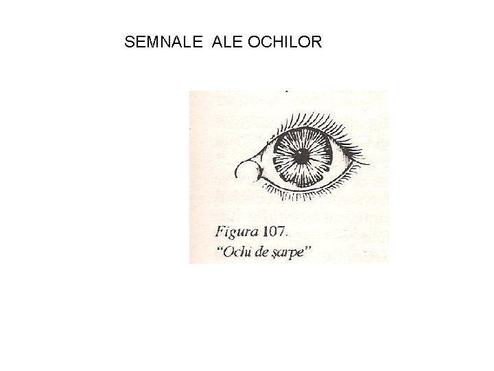 SEMNALE OCHILOR 