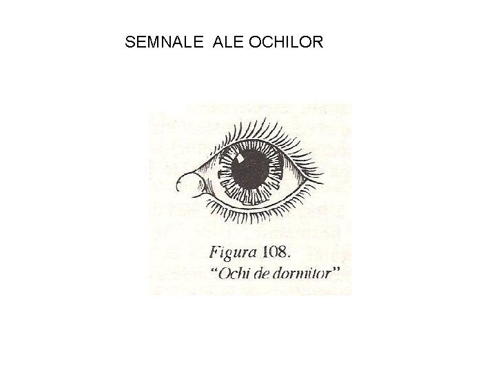 SEMNALE OCHILOR 