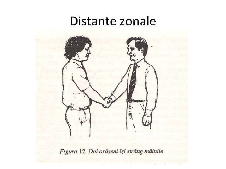 Distante zonale 