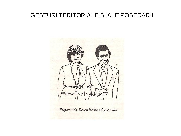 GESTURI TERITORIALE SI ALE POSEDARII 