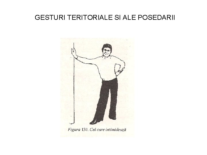 GESTURI TERITORIALE SI ALE POSEDARII 