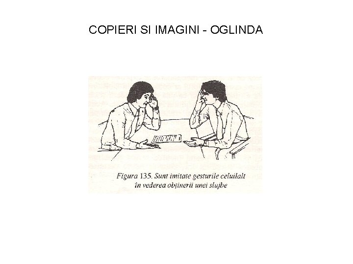 COPIERI SI IMAGINI - OGLINDA 