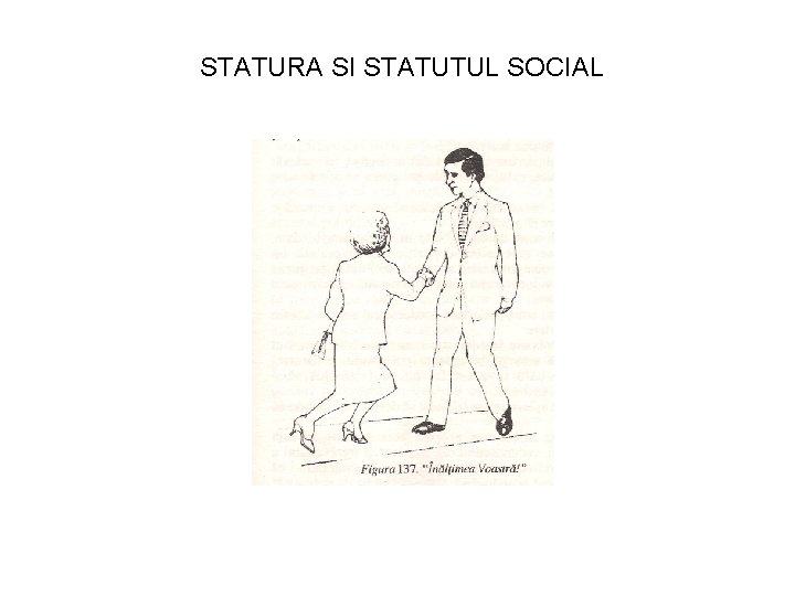 STATURA SI STATUTUL SOCIAL 