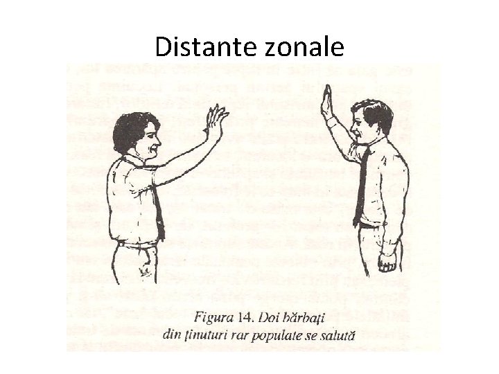 Distante zonale 