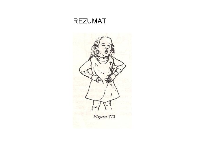 REZUMAT 