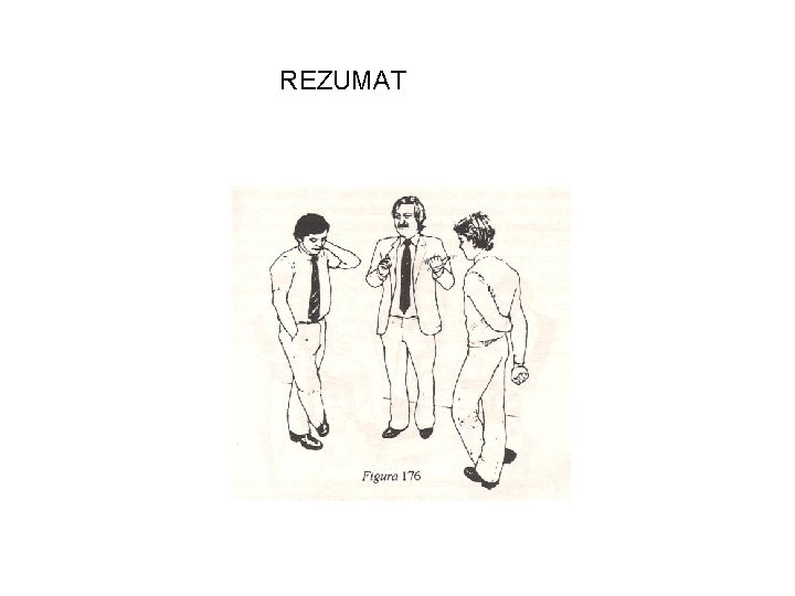 REZUMAT 