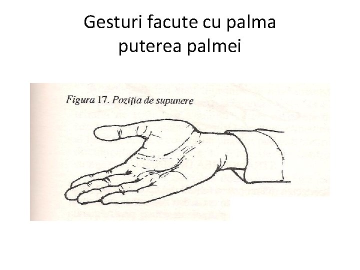 Gesturi facute cu palma puterea palmei 