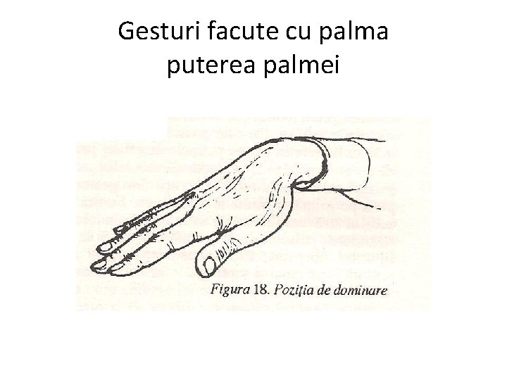 Gesturi facute cu palma puterea palmei 