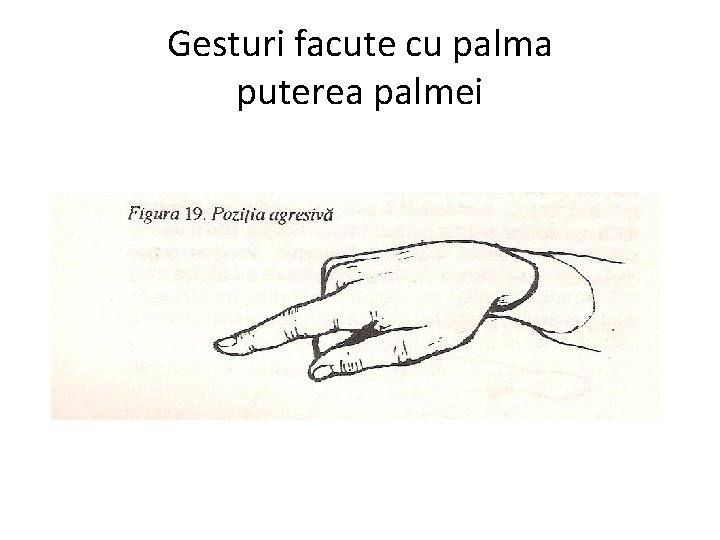 Gesturi facute cu palma puterea palmei 