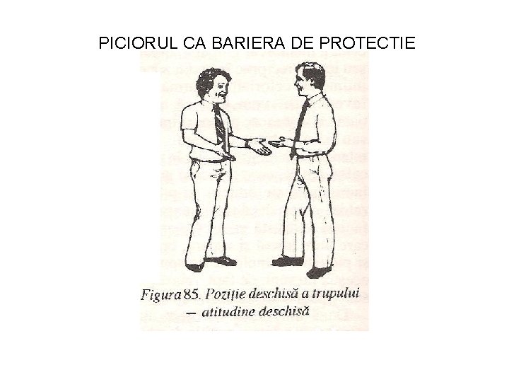 PICIORUL CA BARIERA DE PROTECTIE 