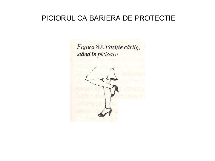 PICIORUL CA BARIERA DE PROTECTIE 