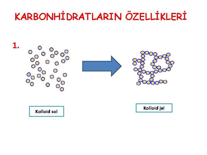 KARBONHİDRATLARIN ÖZELLİKLERİ 1. Kolloid sol Kolloid jel 