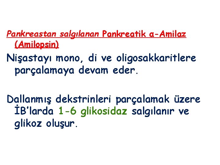 Pankreastan salgılanan Pankreatik α-Amilaz (Amilopsin) Nişastayı mono, di ve oligosakkaritlere parçalamaya devam eder. Dallanmış