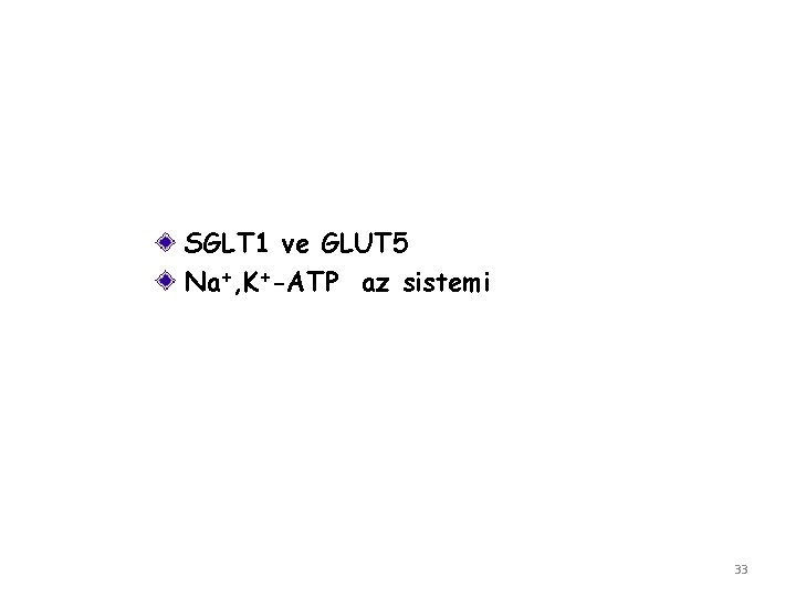 SGLT 1 ve GLUT 5 Na+, K+-ATP az sistemi 33 