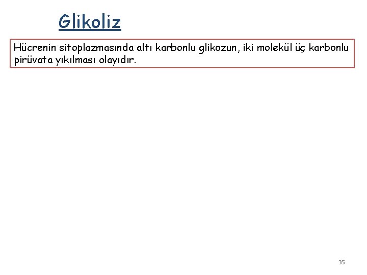 Glikoliz Hücrenin sitoplazmasında altı karbonlu glikozun, iki molekül üç karbonlu pirüvata yıkılması olayıdır. 35