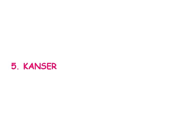 5. KANSER 