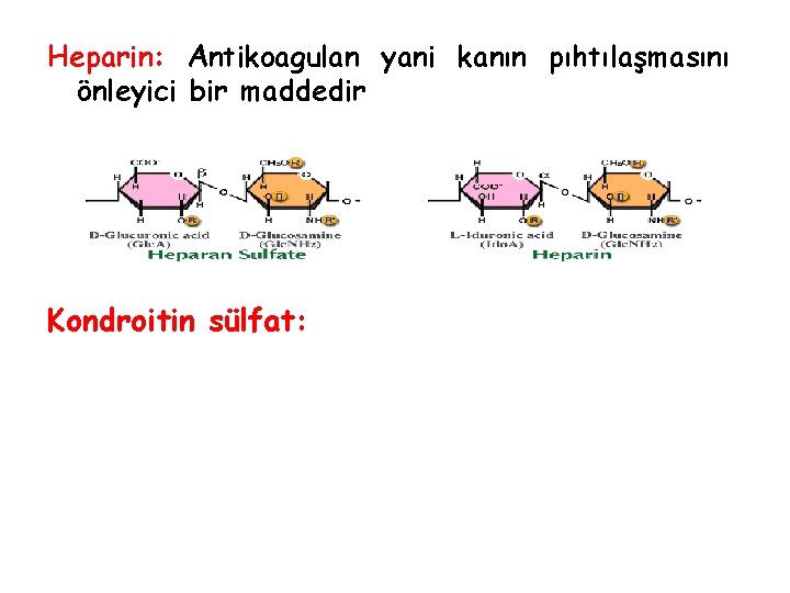 Heparin: Antikoagulan yani kanın pıhtılaşmasını önleyici bir maddedir Kondroitin sülfat: 