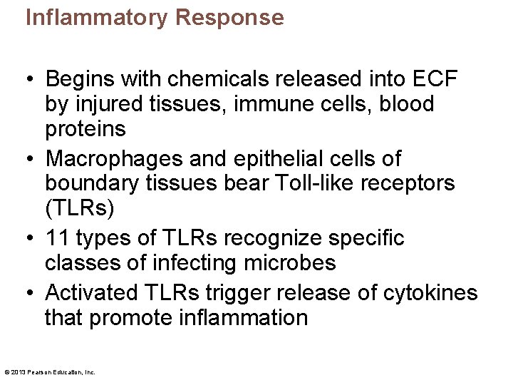 Inflammatory Response • Begins with chemicals released into ECF by injured tissues, immune cells,