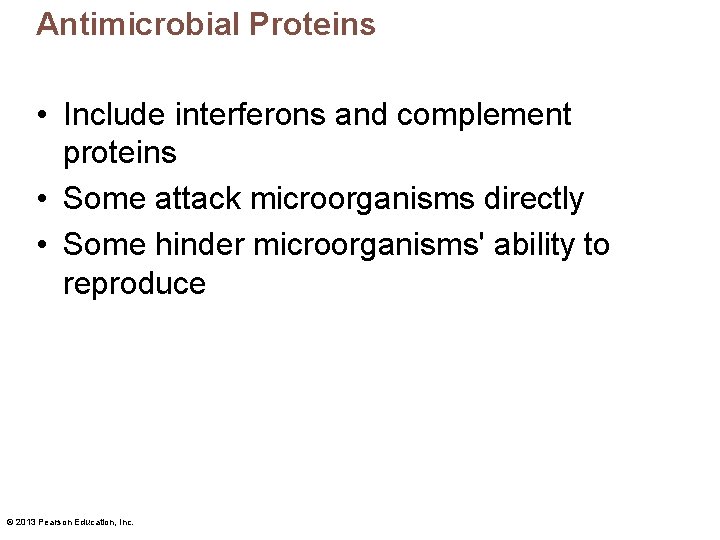 Antimicrobial Proteins • Include interferons and complement proteins • Some attack microorganisms directly •