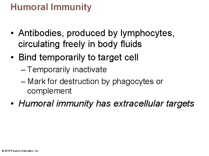 Humoral Immunity • Antibodies, produced by lymphocytes, circulating freely in body fluids • Bind