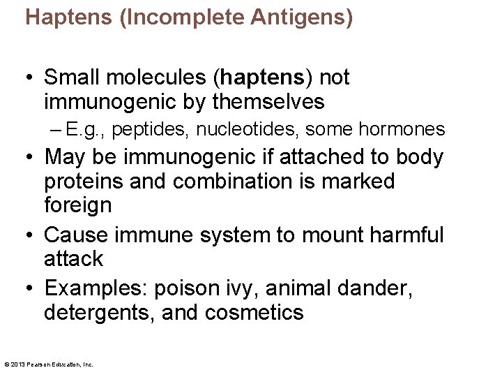 Haptens (Incomplete Antigens) • Small molecules (haptens) not immunogenic by themselves – E. g.