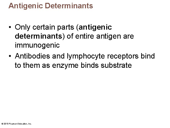 Antigenic Determinants • Only certain parts (antigenic determinants) of entire antigen are immunogenic •