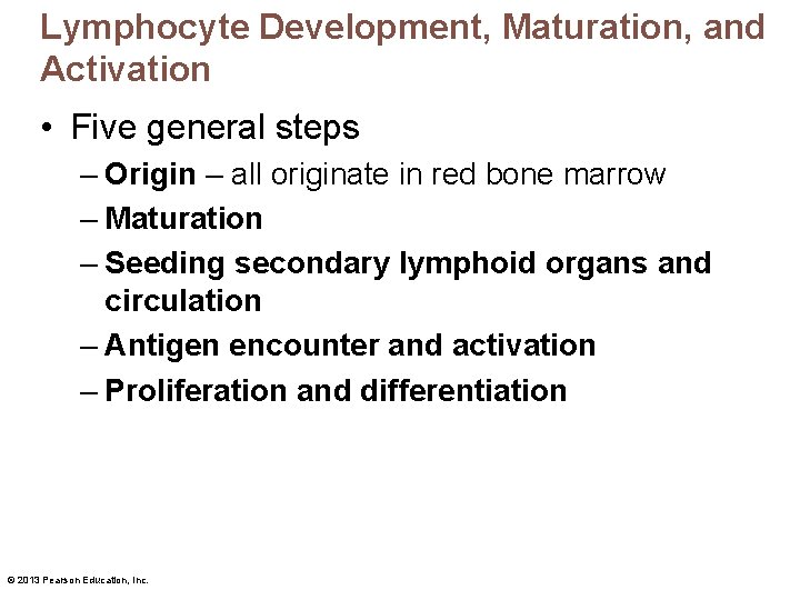 Lymphocyte Development, Maturation, and Activation • Five general steps – Origin – all originate