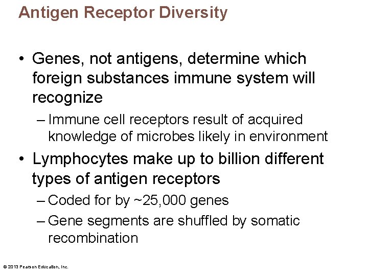 Antigen Receptor Diversity • Genes, not antigens, determine which foreign substances immune system will