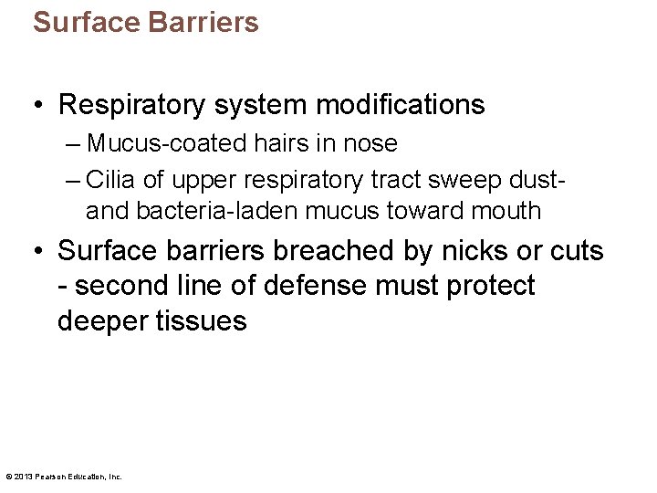 Surface Barriers • Respiratory system modifications – Mucus-coated hairs in nose – Cilia of