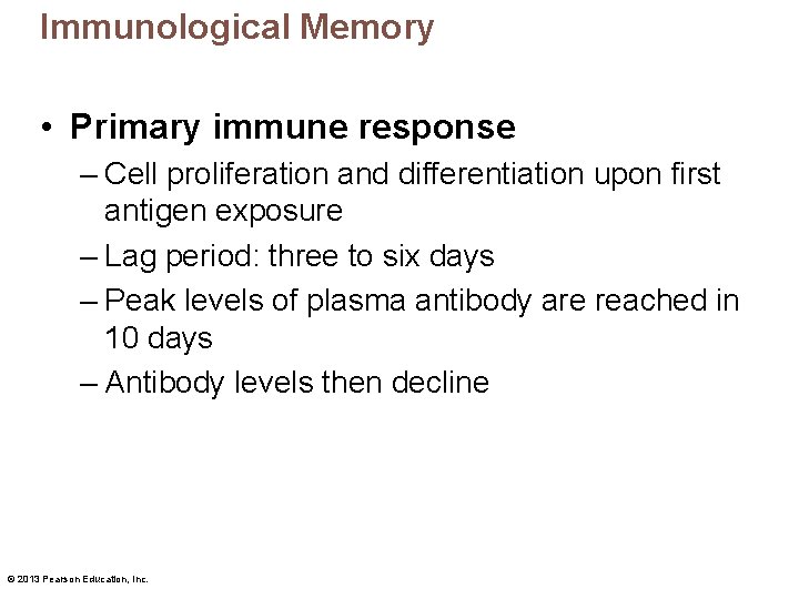 Immunological Memory • Primary immune response – Cell proliferation and differentiation upon first antigen