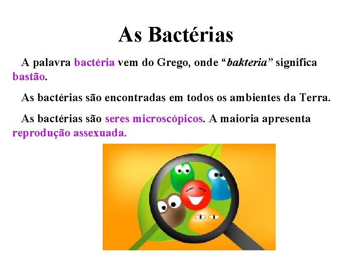 As Bactérias A palavra bactéria vem do Grego, onde “bakteria” significa bastão. As bactérias