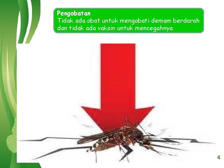 Pengobatan Tidak ada obat untuk mengobati demam berdarah dan tidak ada vaksin untuk mencegahnya.