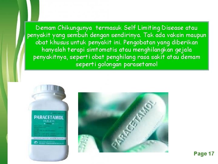 Demam Chikungunya termasuk Self Limiting Disease atau penyakit yang sembuh dengan sendirinya. Tak ada