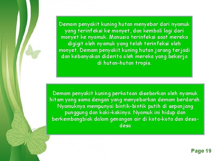 Demam penyakit kuning hutan menyebar dari nyamuk yang terinfeksi ke monyet, dan kembali lagi