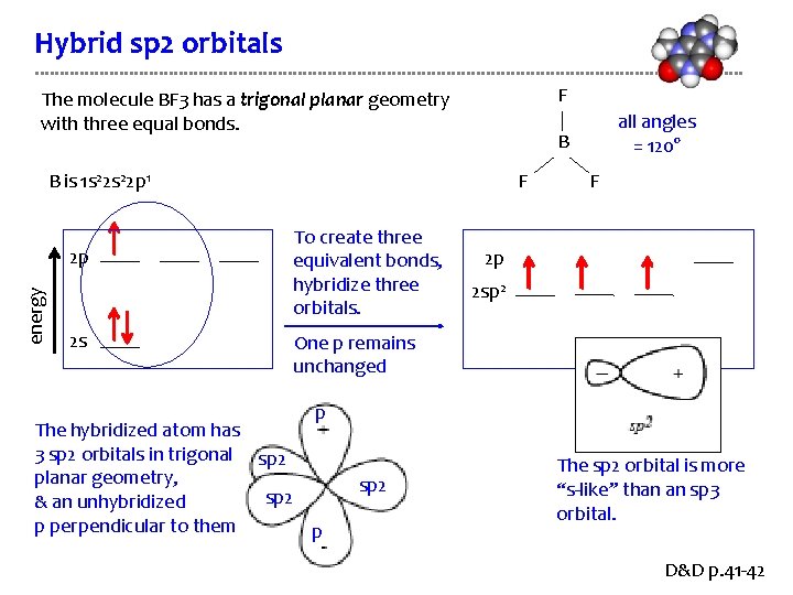 Hybrid sp 2 orbitals F The molecule BF 3 has a trigonal planar geometry